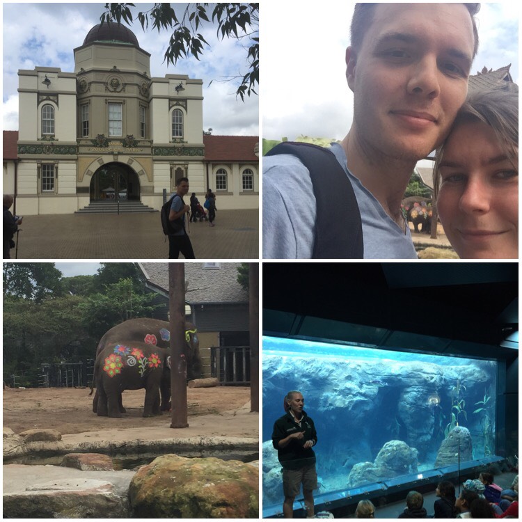 A collage of four pictures. Top left is the front gates of Taronga Zoo, Top right is a selfie of a white man and woman, both with brown hair. They are smiling and leaning close to be in the frame. Bottom left is two elephants with flowers painted on them. Bottom right is a man speaking in front of a glass aquarium to a group of children seated on the floor