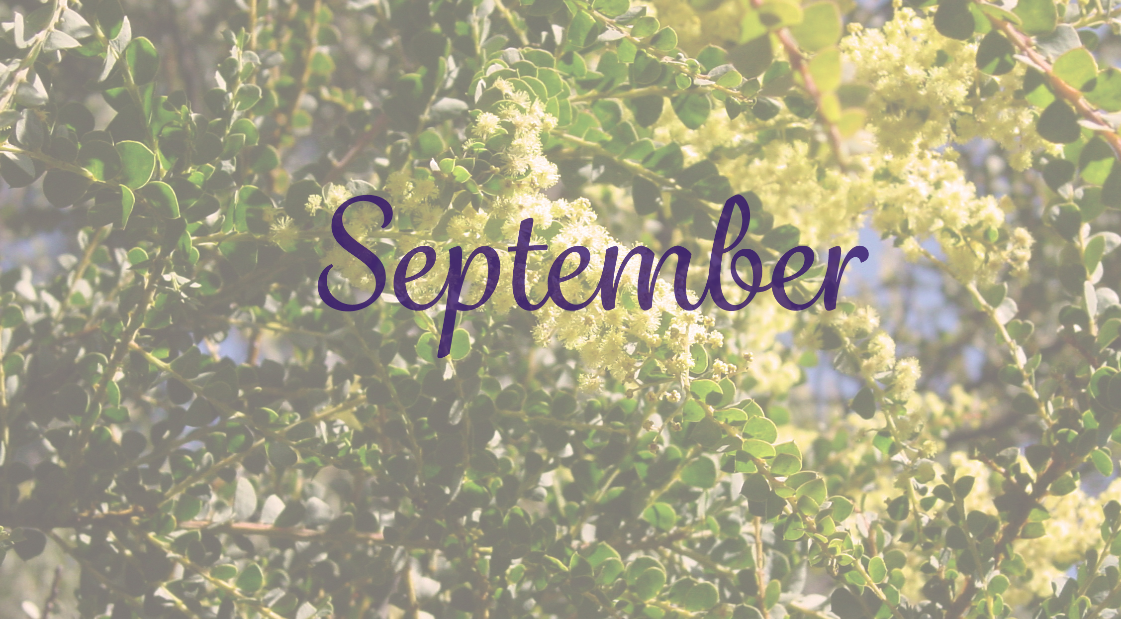 September